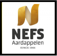 Nefs