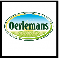 Oerlemans