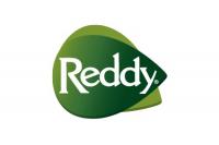 Reddy