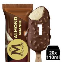 Magnum almond