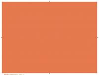 Placemats oranje (474551)