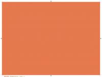 Placemats oranje (474551)