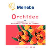 Bloem orchidee