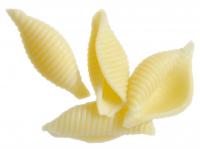 Geblokkeerd: Conchiglie A23