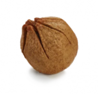 Gehaktbal (boulette)
