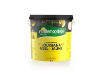 Salade dressing Louisiana geel