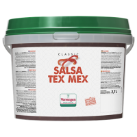 Salsa tex mex