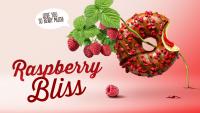 Donut raspberry bliss