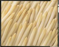 Geblokkeerd: Asperges heel 17cm